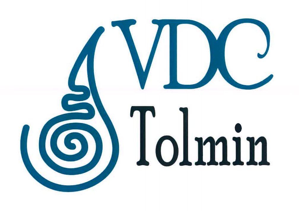 VARSTVENO DELOVNI CENTER TOLMIN (VDC Tolmin)