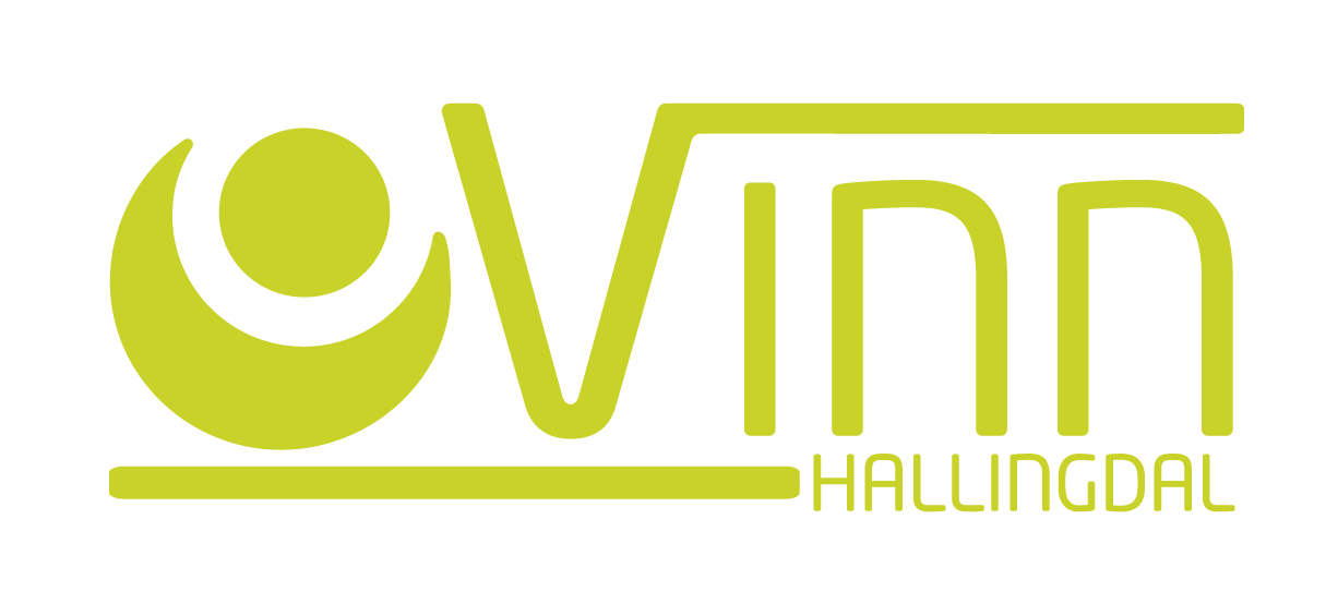 Vinn Hallingdal AS